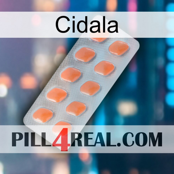 Cidala 26